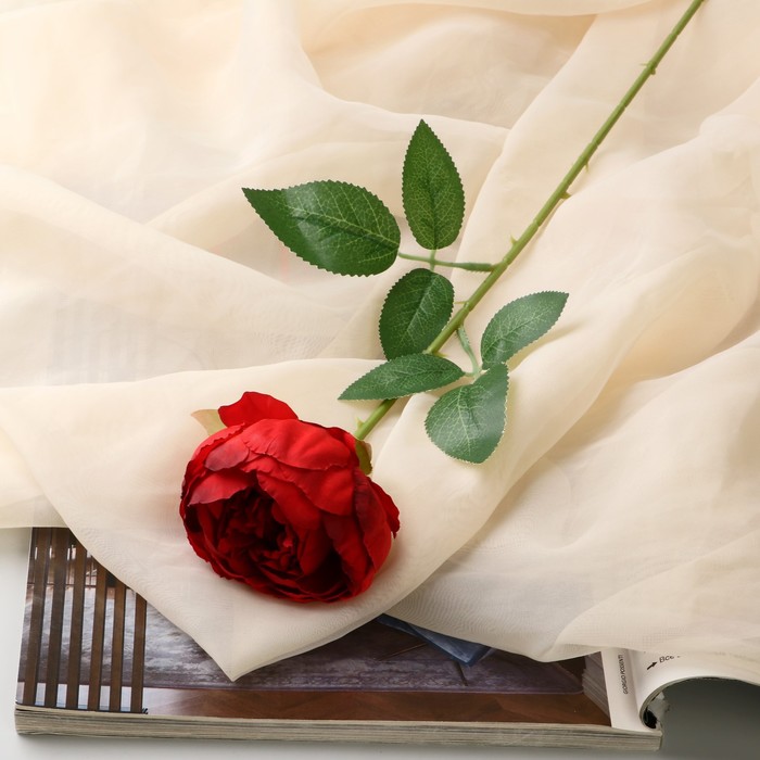 Цветы искусственные Роза Эстетика 7х65 см, бордовый цветы искусственные роза эстетика 7х65 см белый