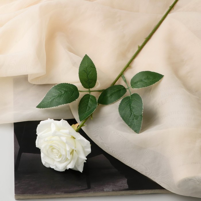 Цветы искусственные Роза Гран При 8х56 см, белый цветы искусственные роза гран при 8х56 см пепельно розовый