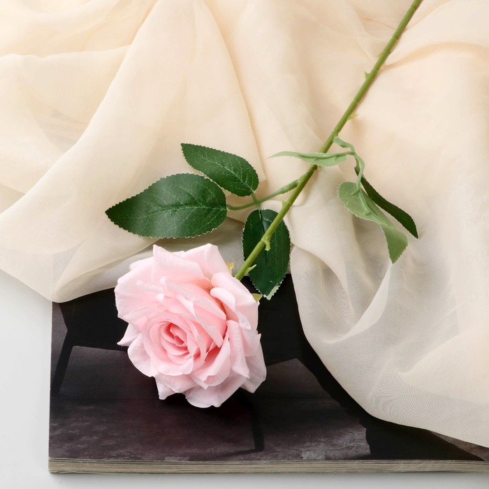 Цветы искусственные Роза Гран При 8х56 см, розовый цветы искусственные роза гран при 8х56 см пепельно розовый
