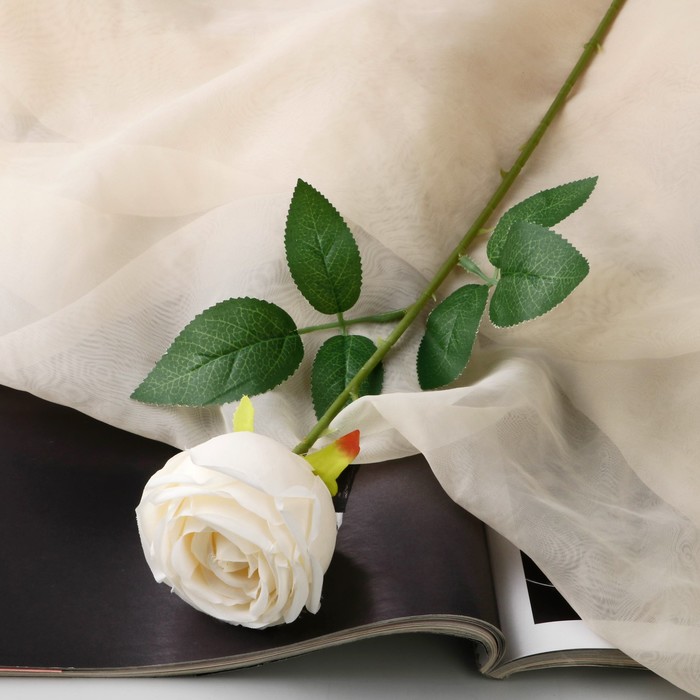 Цветы искусственные Роза Шёлк 7х56 см, белый цветы искусственные роза пионовидная галант 7х61 см белый