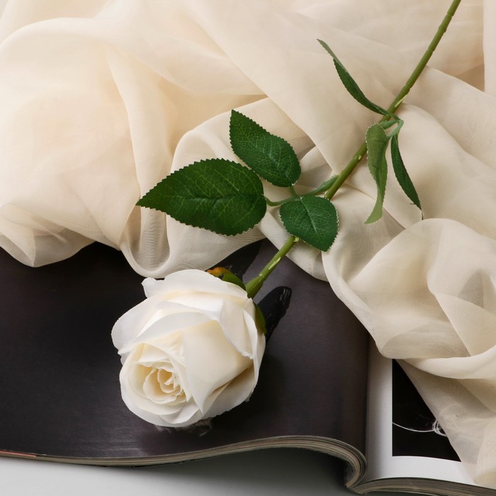 Цветы искусственные Роза Карина 7х56 см, белый цветы искусственные роза эстетика 7х65 см белый
