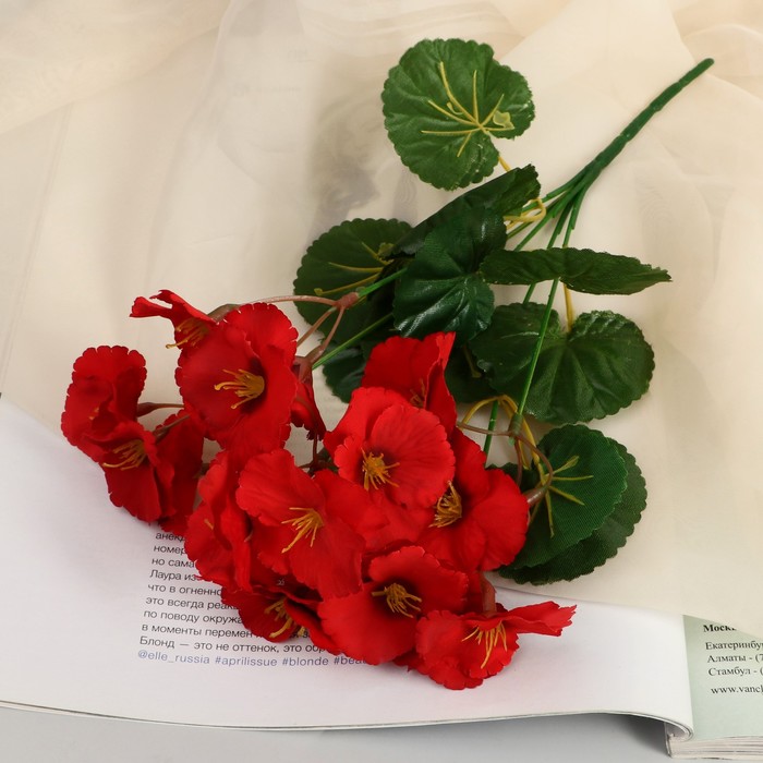Букет Настурция галант 4,5х28 см, микс букет роза клер галант 24 см микс