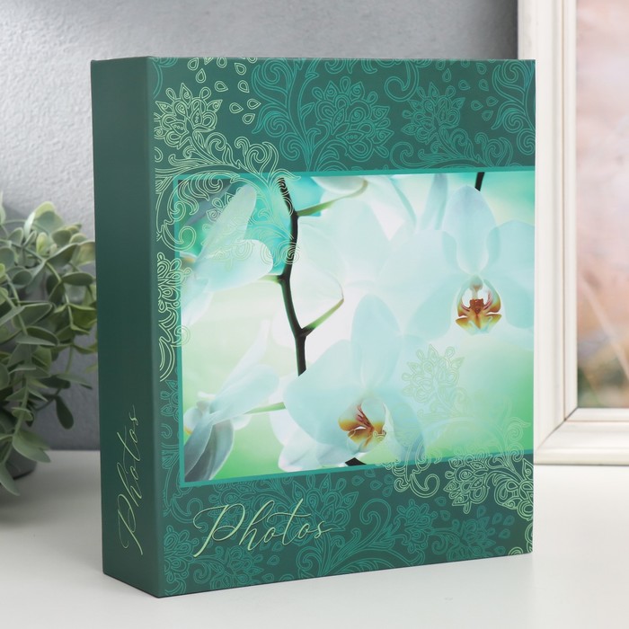

Фотоальбом на 200 фото 10х15 см, пластик. листы "bloom" Орхидеи