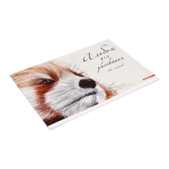 

Альбом для рисования А4, 40 листов на клею "Енотик", обложка мелованный картон, текстура, блок 100г/м2