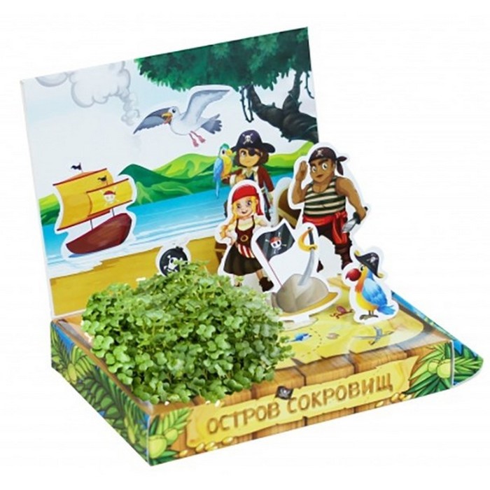 Набор для выращивания «Живая открытка» «Остров сокровищ» набор для выращивания happy plant живая открытка остров сокровищ