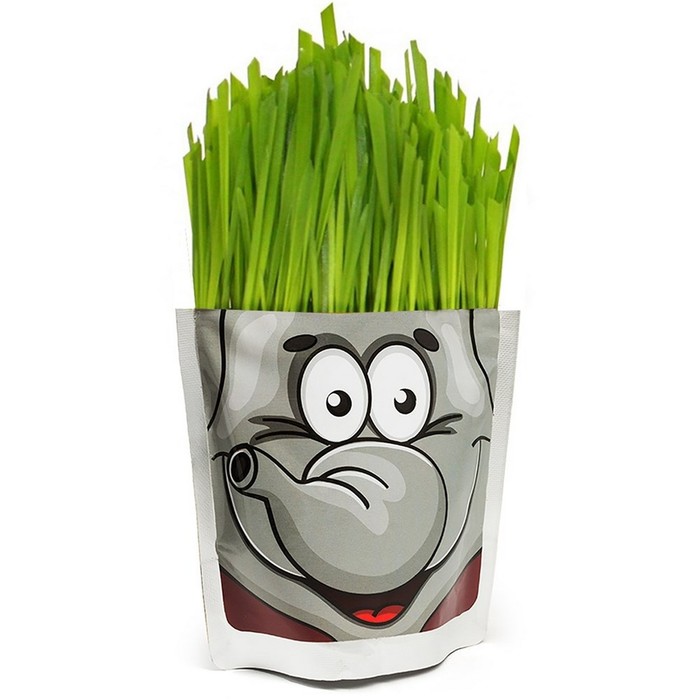 

Набор для выращивания Happy Plant «Слон»