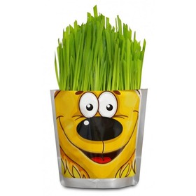Наборы для выращивания "Happy Plant" "Львенок" HP-47