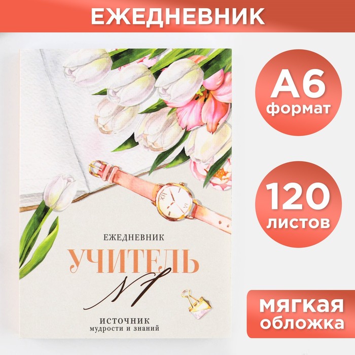 Ежедневник «Учитель №1», формат А6, 120 листов, мягкая обложка .