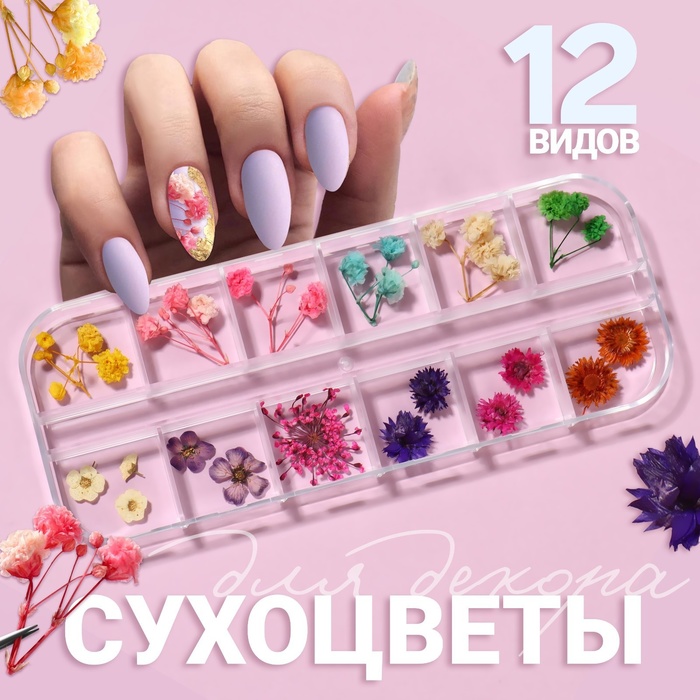 

Сухоцветы для декора «Ассорти», объёмные, 12 видов, в футляре, разноцветные