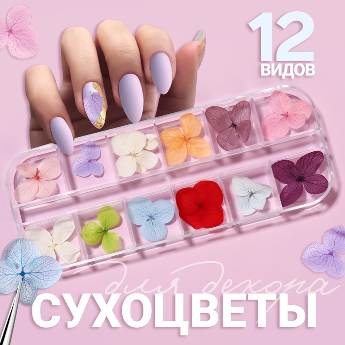 

Сухоцветы для декора «Нежность», объёмные, 12 видов, в футляре, разноцветные