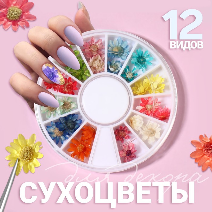

Сухоцветы для декора «Ромашки», объёмные, 12 видов, в футляре, разноцветные