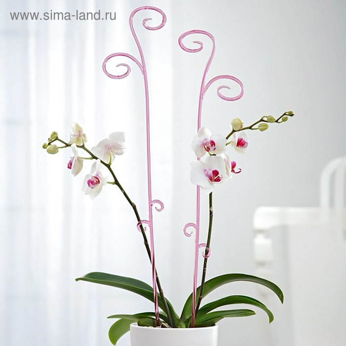 фото Держатель для орхидей «зелёный флер», 60 см техоснастка