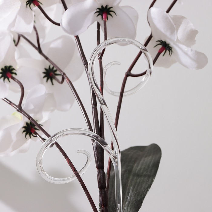 фото Держатель для орхидей 60 см "натуральный" техоснастка