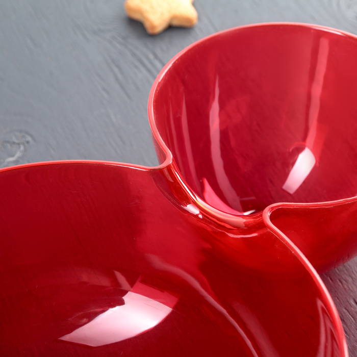 Менажница 2 л, 2 секции, цвета МИКС