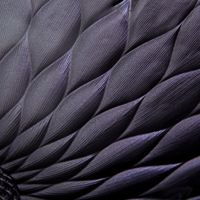 Блюдо "Лотос", черное