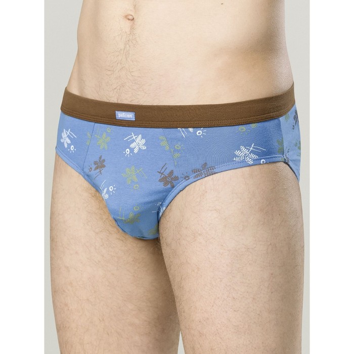 

Трусы мужские, размер 50 цвет голубой, коричневый, 2 шт