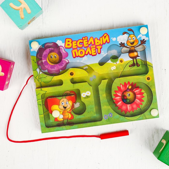 Лабиринт магнитный малый "Весёлый полёт"