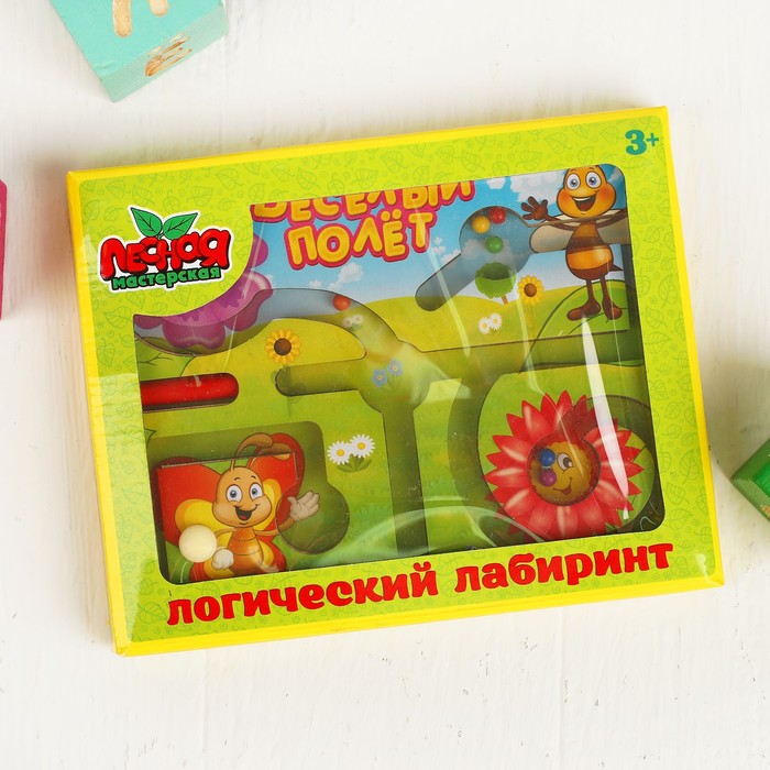 Лабиринт магнитный малый "Весёлый полёт"