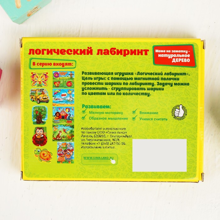 Лабиринт магнитный малый "Весёлый полёт"