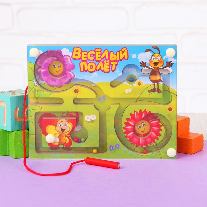 Лабиринт магнитный малый "Весёлый полёт"