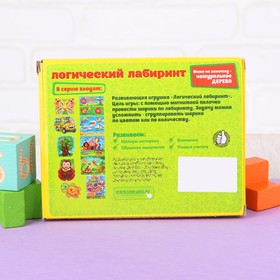 

Лабиринт магнитный малый «Цирк»