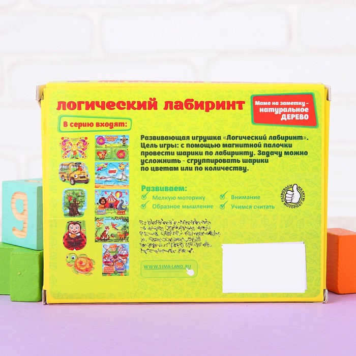 Лабиринт магнитный малый "Черепашка"