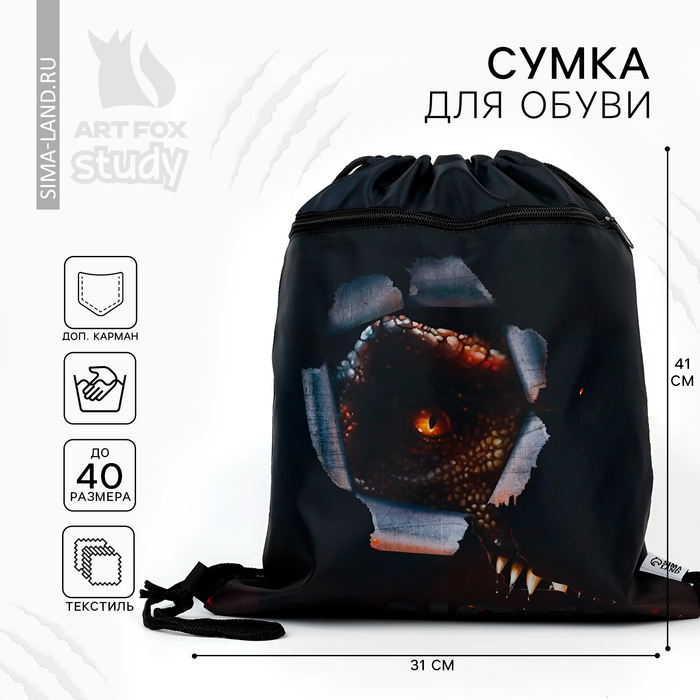 

Мешок для обуви DANGER 2 секции, 30 х 40 см