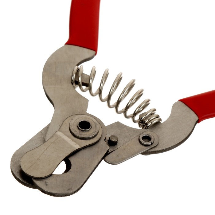 Когтерез-секатор с прорезиненной ручкой, отверстие 11 мм