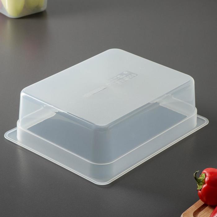 Гастроемкость 1/2 h=10 см, прозрачная