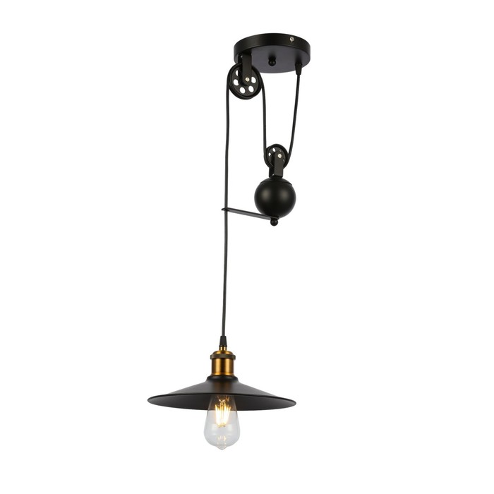 

Подвес Evoluce. SLE120503-01. Esperazza. 1х60 Вт, E27, 30х30х50 см, цвет чёрный