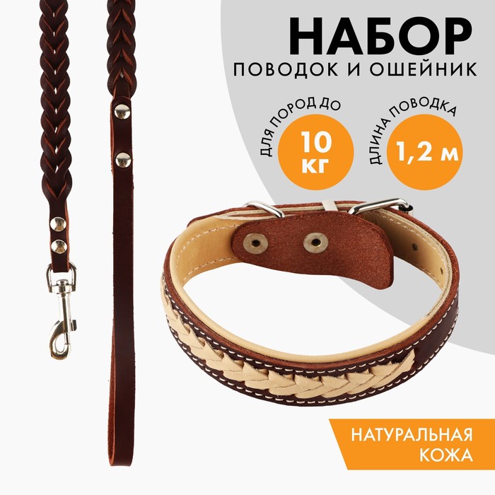 

Комплект бежевый ошейник и коричневый поводок с косой