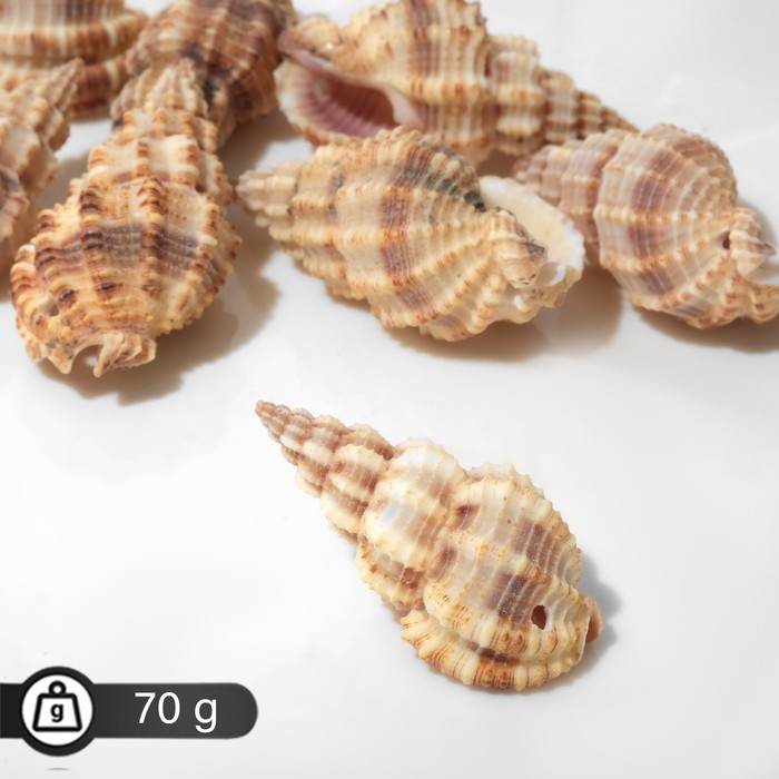 

Бусины "Ракушка" завиток рельефный, цвет серо-коричневый 70гр