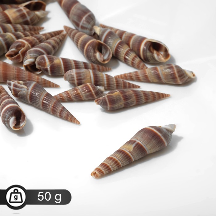 

Бусины "Ракушка" завиток узкий, (без отверстия) цвет коричневый 50гр+/-5