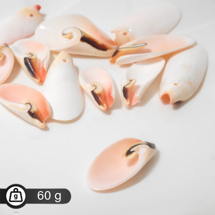 

Бусины "Ракушка" 60гр+/-5