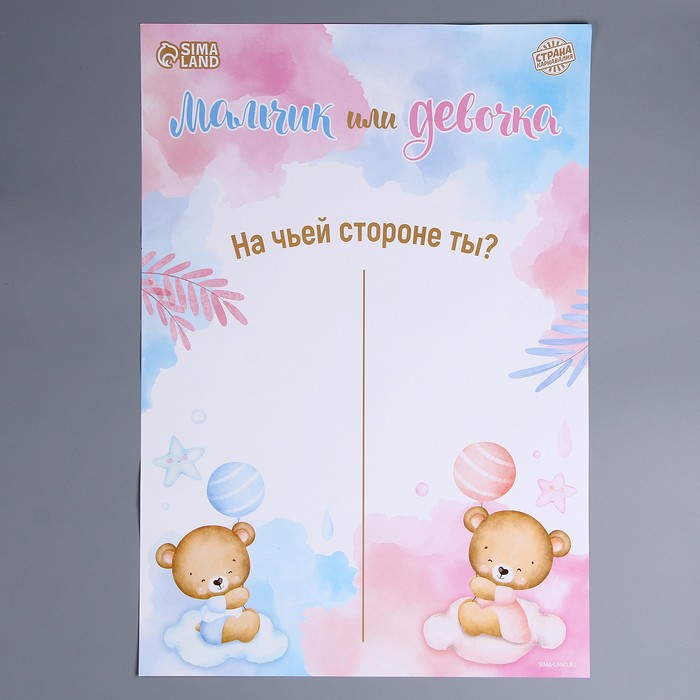 Плакат А2 «Мальчик или девочка», мишки