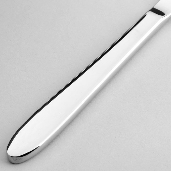 Нож столовый 22,5 см Basel, толщина 2,5 мм