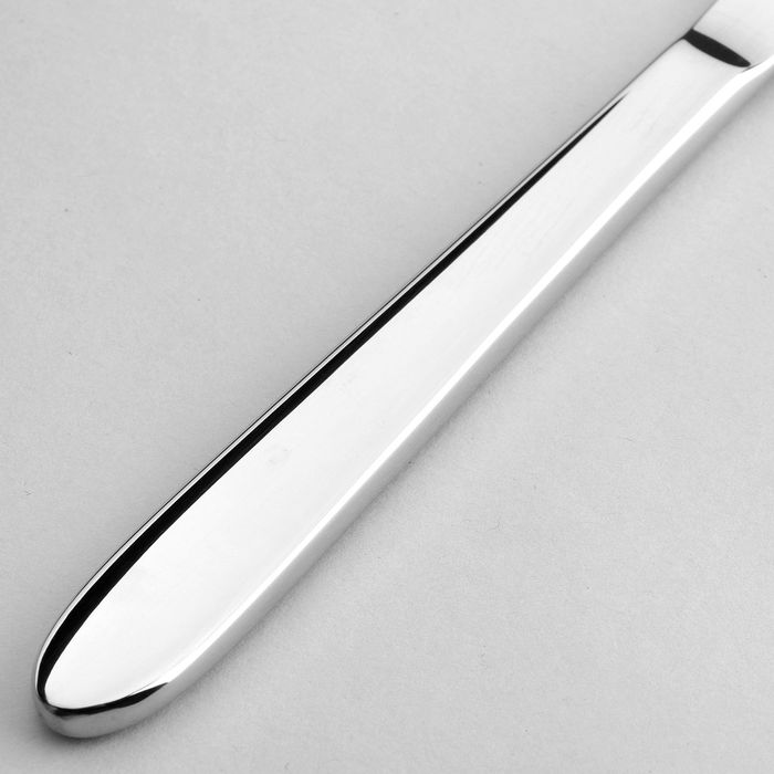 Нож десертный 20,5 см Basel, толщина 2,5 мм