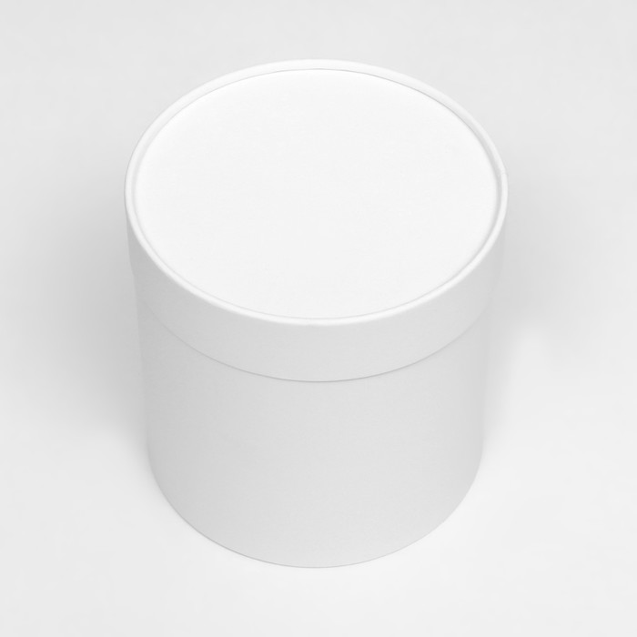 

Подарочная коробка «White», белая, завальцованная, без окна, 16 х 16 см