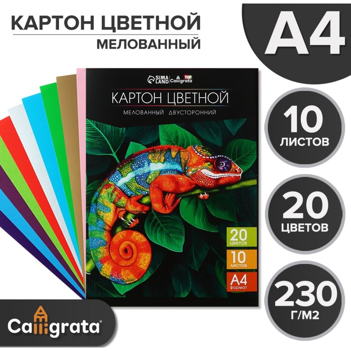 Картон цветной двусторонний А4 10 листов 20 цветов Calligrata TOP мелованный 230 гм2 в папке 109₽