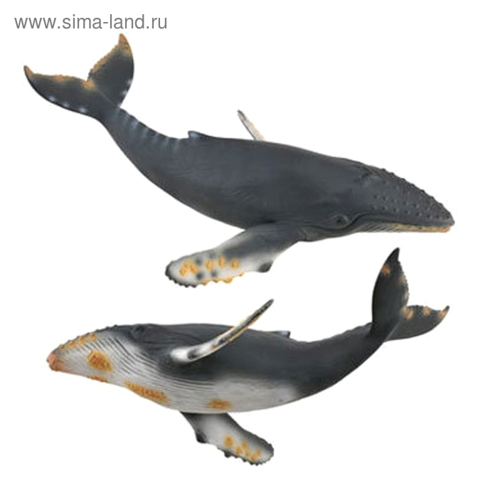 фигурка mojo sealife горбатый кит 387119 4 5 см Фигурка «Горбатый кит»