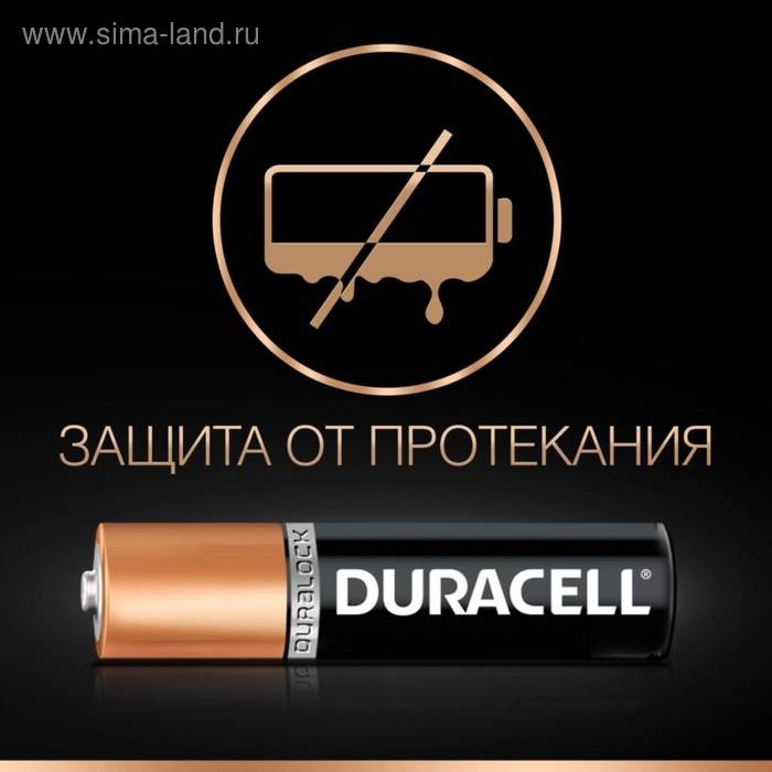 

Батарейка алкалиновая Duracell Basic, AAA, LR03-6BL, 1.5В, блистер, 6 шт.
