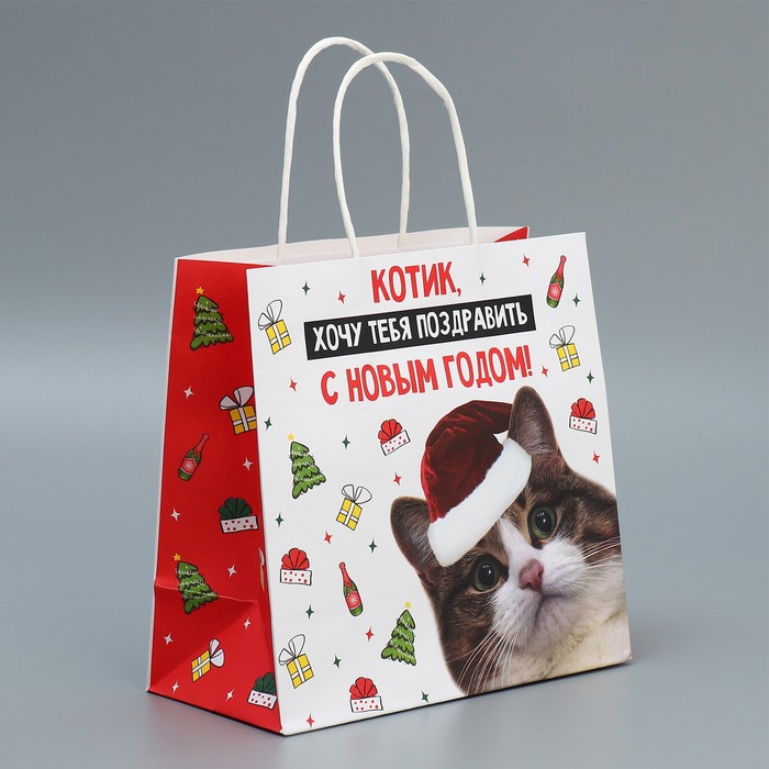 Пакет подарочный крафтовый «Котик», 22 × 22 × 11 см пакет крафтовый подарочный счастье внутри 22 × 17 5 × 8 см