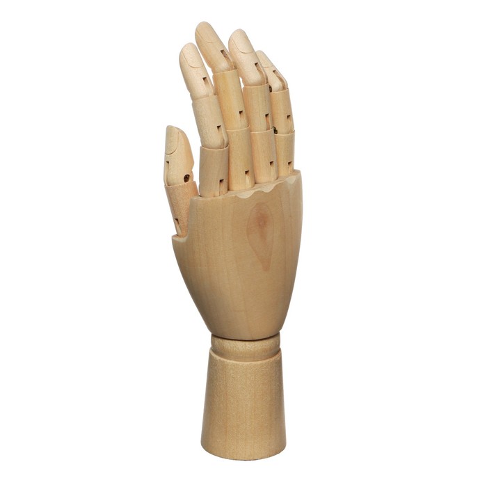 Модель деревянная Рука женская правая 25см