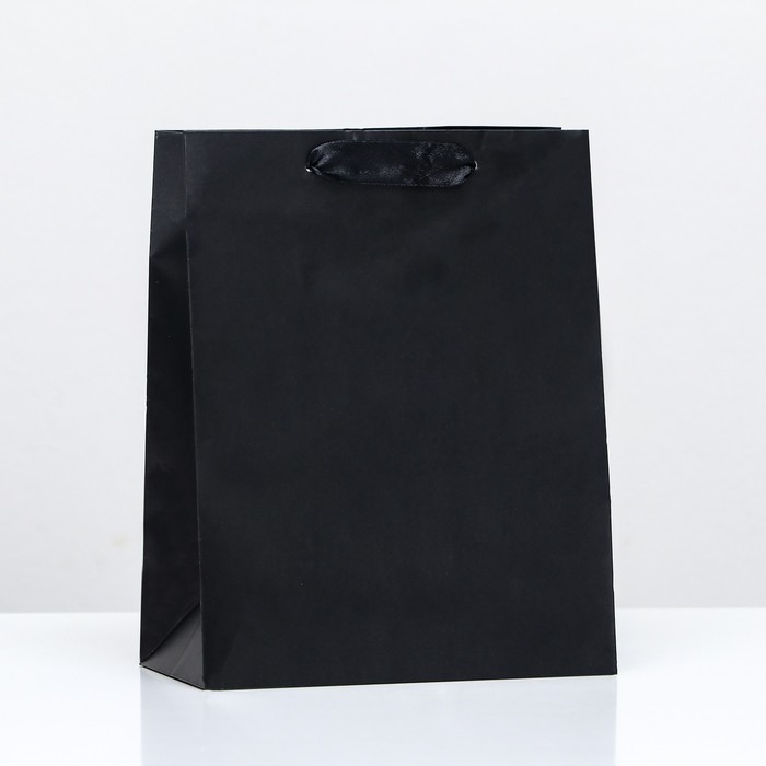 Пакет ламинированный «Чёрный», 18 х 23 х 10 см market space пакет ламинированный новогодние леденцы 18 х 23 х 10