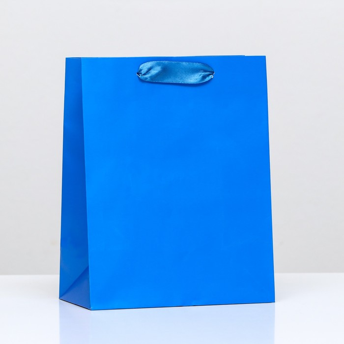 Пакет ламинированный «Синий», 18 х 23 х 10 см пакет ламинированный красный олень 18 х 23 х 10