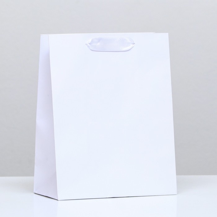 Пакет ламинированный «Белый», 18 х 23 х 10 см пакет ламинированный christmas 18 х 23 х 10