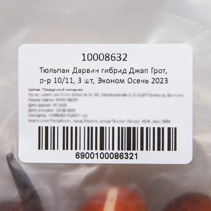 

Тюльпан Дарвин гибрид Джап Грот, р-р 10/11, 3 шт, Эконом, Осень 2023