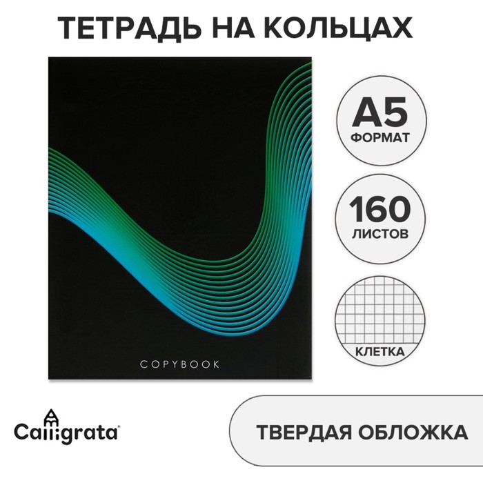 

Тетрадь на кольцах A5 160 листов в клетку Calligrata "Графика на чёрном", обложка 7БЦ, без вырубки под кольца, блок офсет