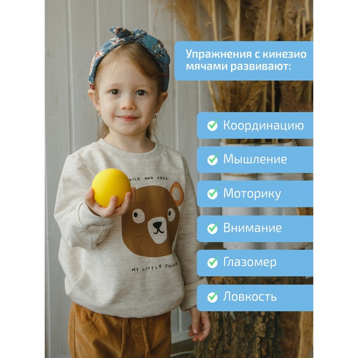 фото Кинезиологический мяч, набор 10 шт. интернет проекты