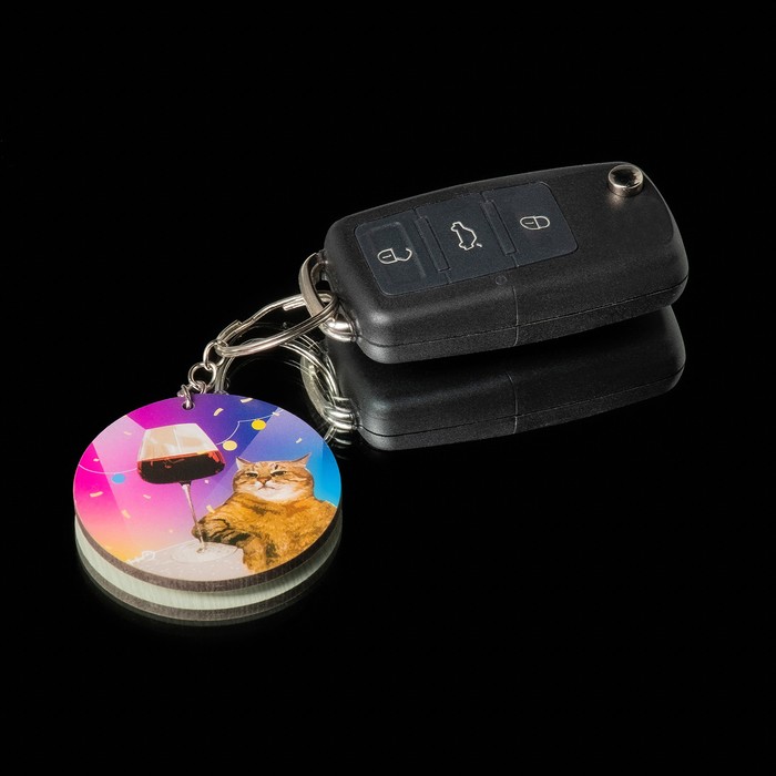 Брелок для автомобильного ключа, Кот 5 шт лезвие автомобильного ключа nissan тип lishi nsn11 tp00dat 6 p2 kd замена автомобильного ключа nissan старая модель металлический ключ без надписей